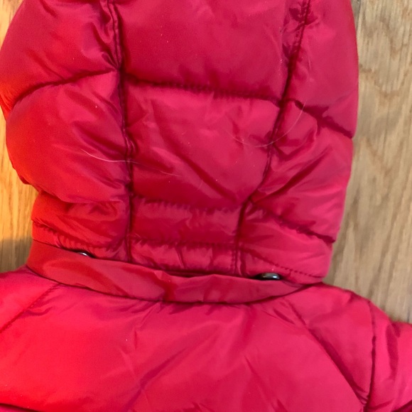 COPY - Zara Baby Puffer Jacket - Picture 4 of 6